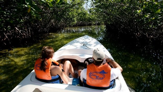 Jungle Tour Prestige