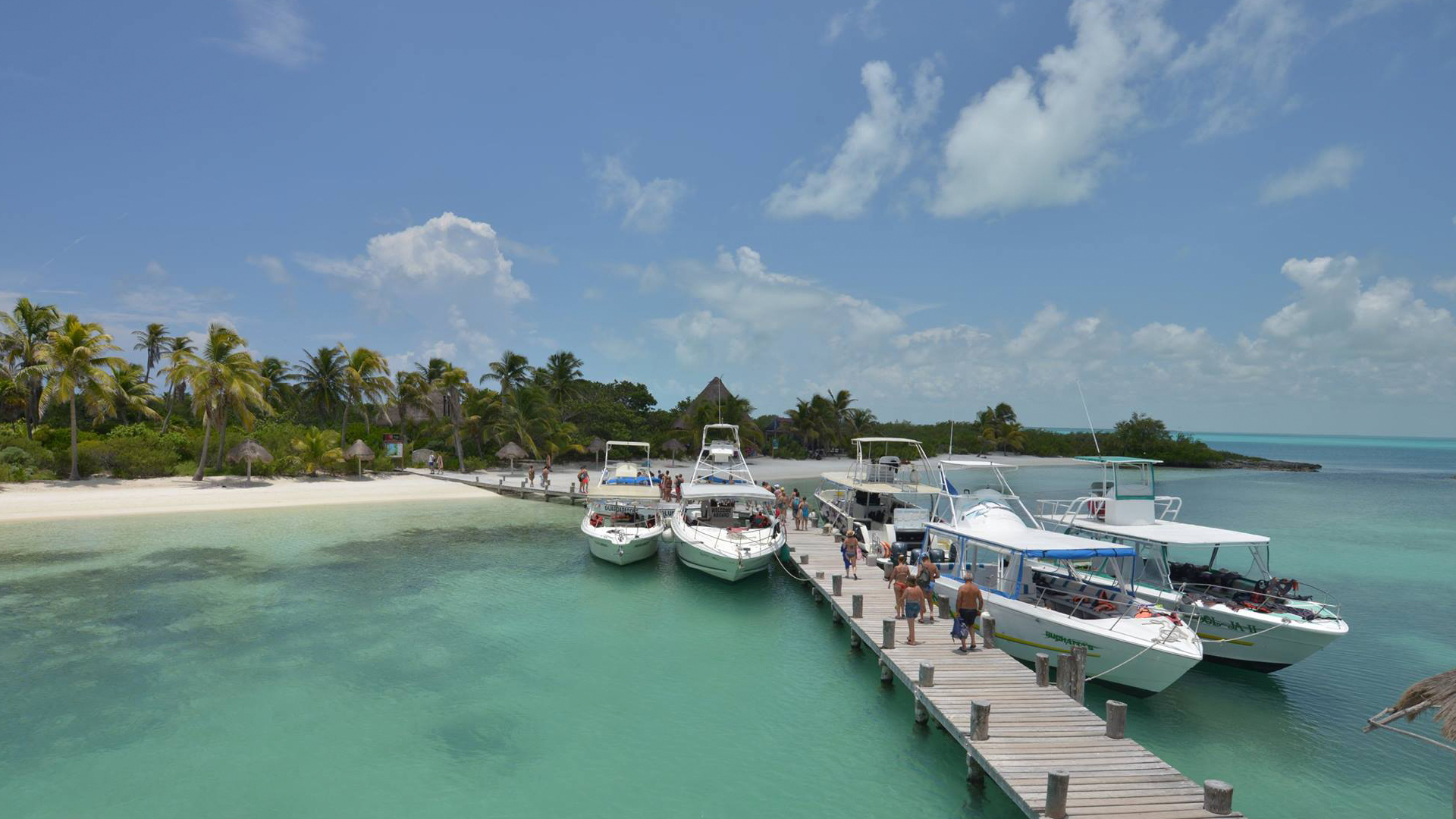 Isla Mujeres Unlimited